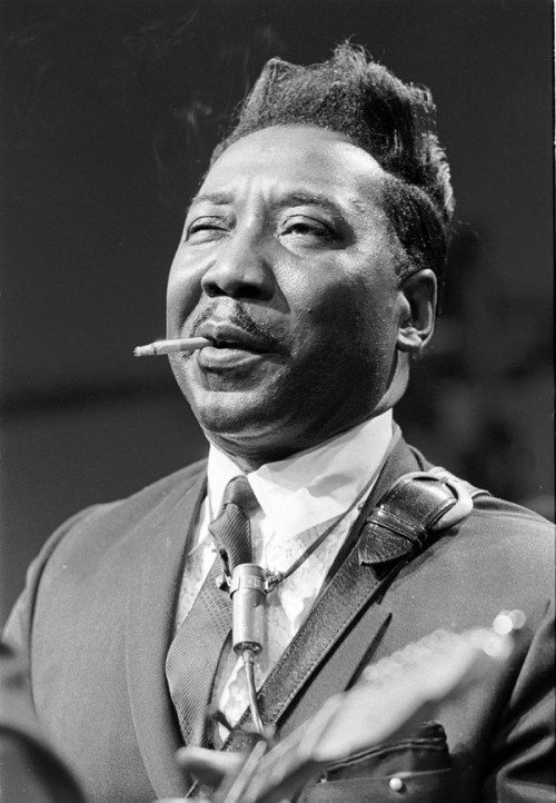 Muddy Waters, 100 anos