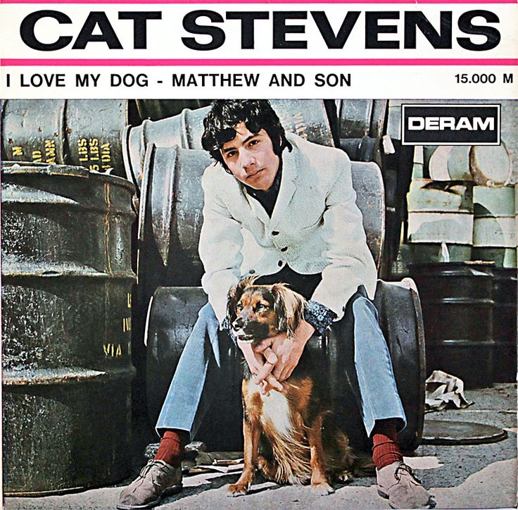 So Much It Hurts CD CAT STEVENS I Love My Dog GERMANY Press